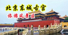 日比AV网中国北京-东城古宫旅游风景区